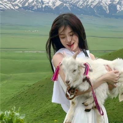 佐利的成长