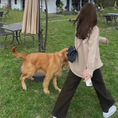 麻辣公主